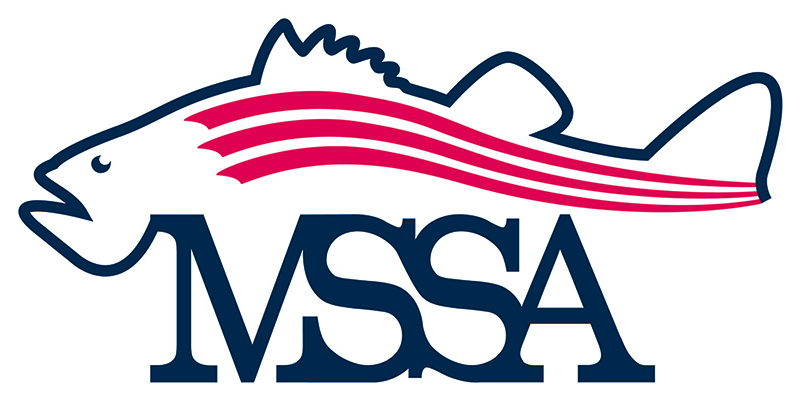 MSSA New Logo CMYK