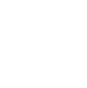 salvage-icon_1